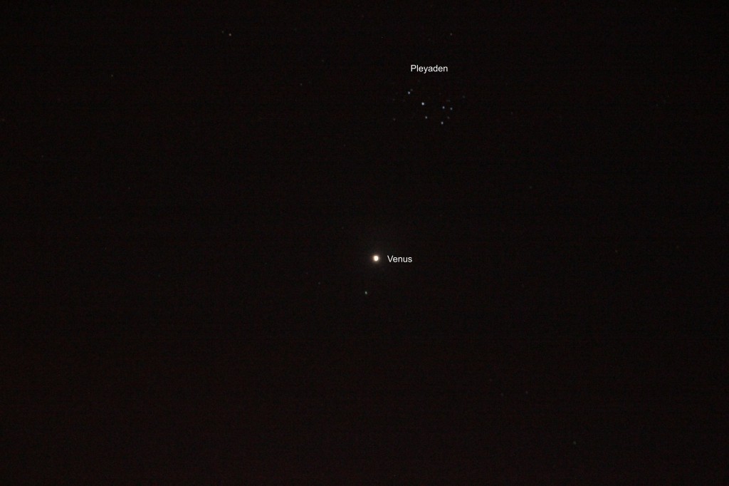 Der Planet Venus und der offenen Sternhaufen M45 oder Pleyaden.