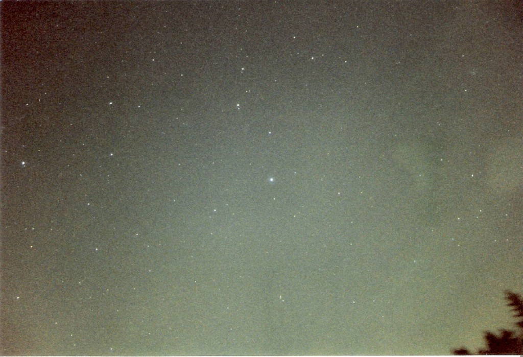 Mein erstes Astrofoto zeigt das Sternbild Löwe.